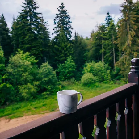 ин хоум комфорт Appartement Borovets