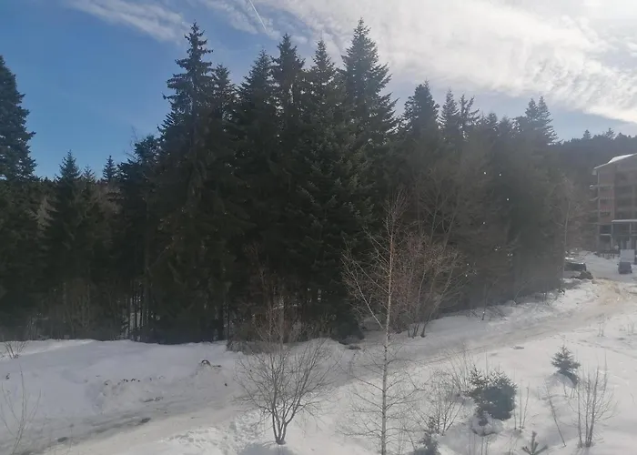 ин хоум комфорт Apartament *